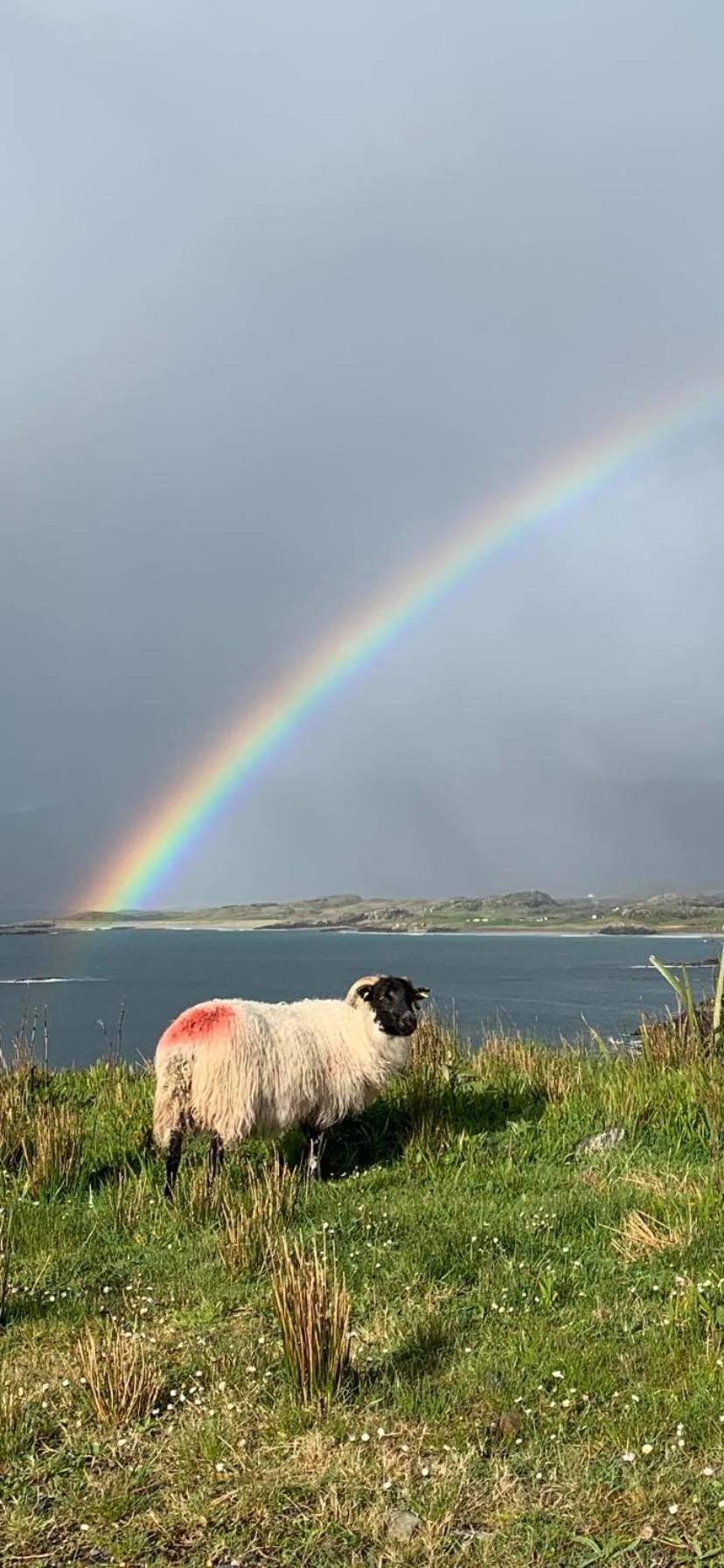 Kylemore House Boutique Apartments - Fishermans Perch Esterno foto